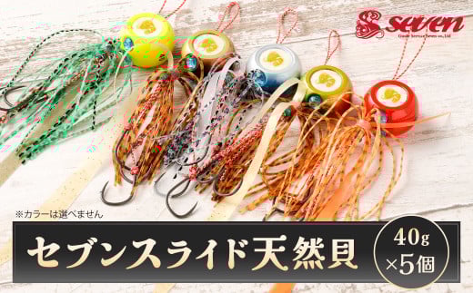 セブンスライド 天然貝 40g 計5個 セット