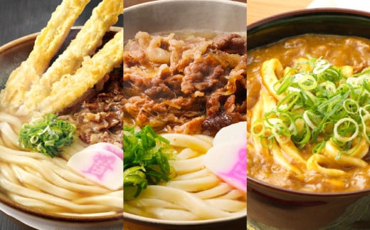 資さん 食べ比べセット（肉ごぼ天うどん・肉うどん・カレーうどん）各5人前