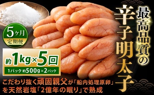 【5カ月定期便】 こだわり抜く頑固親父が「船内処理原卵」を天然岩塩「2億年の眠り」で熟成させた最高品質の辛子明太子 約1kg（約500g×2パック）×5回 計約5kg 辛子明太子 辛子めんたいこ 明太子