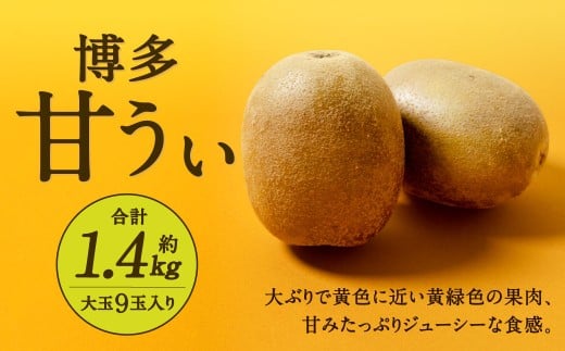 福岡県産 博多甘うぃ 約1.4kg（大玉9玉入り）