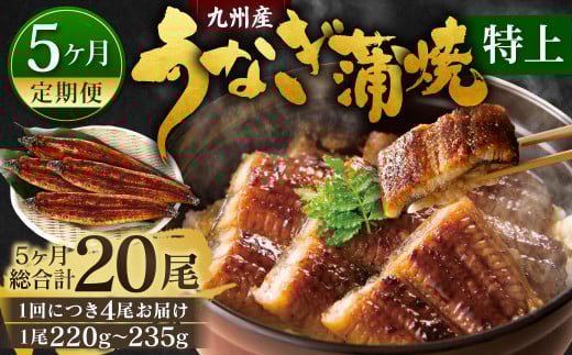 【5ヶ月定期便】九州産 うなぎ蒲焼 特上 4尾 (1尾あたり220～235g) 合計20尾