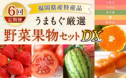 【福岡県産 特産品 年6回定期便】うまもぐ厳選 野菜果物セットDX