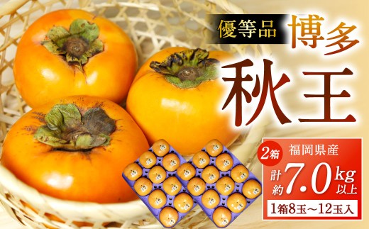 福岡県産 博多秋王【優等品】 計約7.0kg以上【約3.5kg以上（8玉～12玉入り） ×2箱】