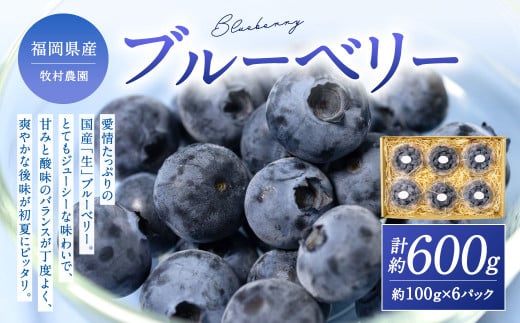 国産ブルーベリー 福岡県産 牧村農園