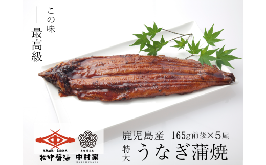 【120年老舗醤油蔵仕込みのたれと関門の塩】高級鰻 蒲焼 （165g前後）×5尾
