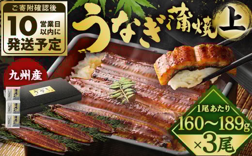九州産 うなぎ 蒲焼 上 3尾 (1尾あたり160～189g)