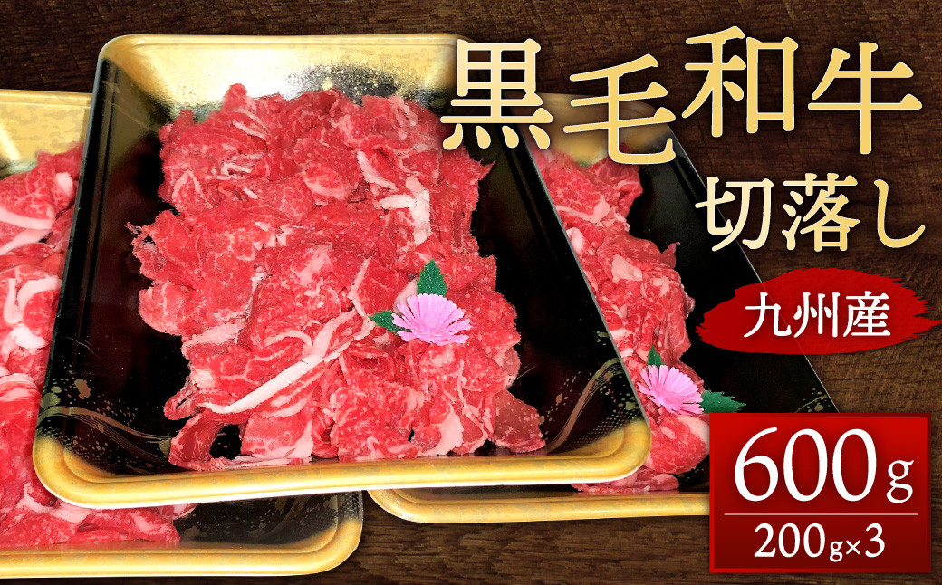 九州産 黒毛和牛 切り落し 600ｇ
