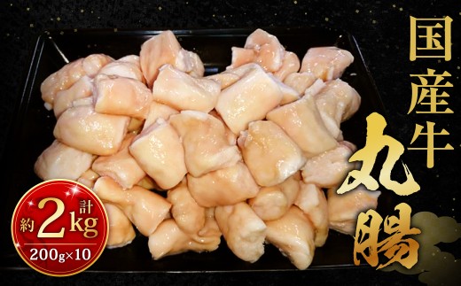 国産牛丸腸 約2kg（市立食肉センター直送）