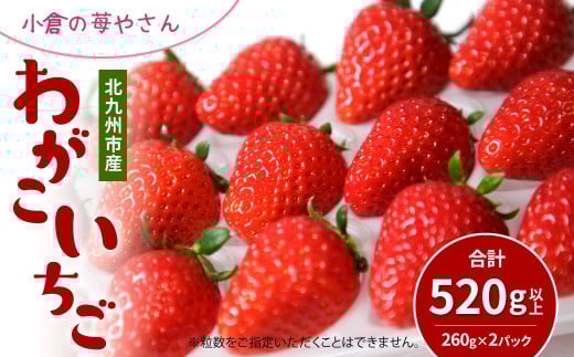 小倉の苺やさん「わがこいちご」260g×2パック 合計520g以上