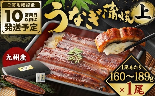 【10営業日発送】 九州産 うなぎ蒲焼 上 1尾 （160～189g） うなぎ蒲焼き うなぎ 鰻 ウナギ 蒲焼 蒲焼き 冷凍 福岡県 北九州市