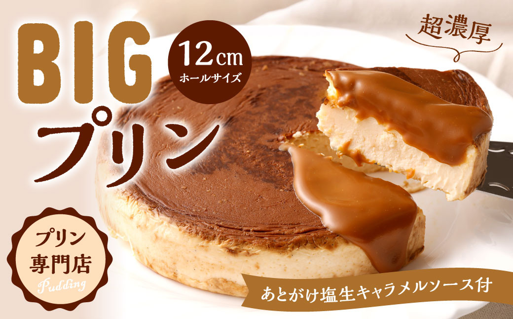 極濃厚 ビッグ プリン 【 12cmホールサイズ・あとがけ塩生キャラメルソース付 】