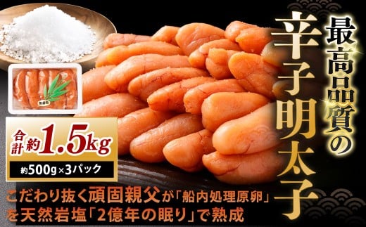 こだわり抜く頑固親父が「船内処理原卵」を天然岩塩「2億年の眠り」で熟成させた最高品質の辛子明太子 約500g×3パック 計約1.5kg 辛子明太子 辛子めんたいこ 明太子