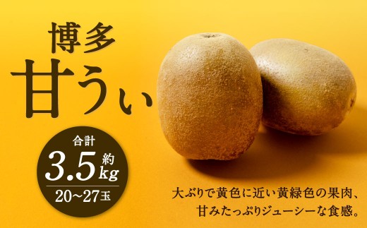 福岡県産 博多甘うぃ 約3.6kg（20玉～27玉入り）
