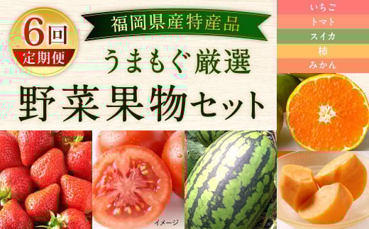 【福岡県産 特産品 年6回定期便】うまもぐ厳選 野菜果物セット