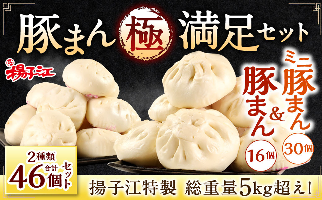 揚子江 特製 総重量5kg超え！ "極"満足 セット (豚まん×16個、ミニ豚まん×30個) 人気 の 豚まん 驚愕の計46個！！ 2種類 食べくらべ 中華 点心 【配達日指定可能】