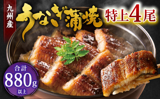 九州産 うなぎ 蒲焼 特上4尾 計880g以上 (1尾あたり220～235g)