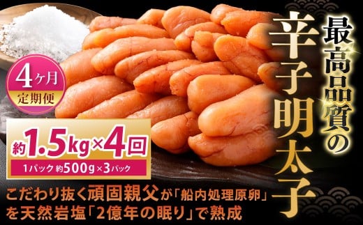【4カ月定期便】 こだわり抜く頑固親父が「船内処理原卵」を天然岩塩「2億年の眠り」で熟成させた最高品質の辛子明太子 約1.5kg（約500g×3パック）×4回 計約6kg 辛子明太子 辛子めんたいこ 明太子