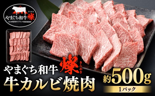 【やまぐち和牛燦】 牛カルビ焼肉 約500g
