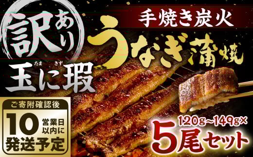 【訳あり】玉に瑕 九州産 手焼き炭火うなぎ蒲焼 5尾 （1尾あたり120-149g）