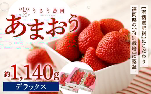 うるう農園 デラックスあまおう 4パック（約1140g）