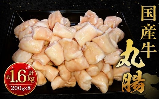 国産牛丸腸 約1.6kg（市立食肉センター直送）