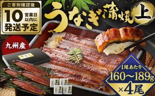 九州産 うなぎ 蒲焼 上 4尾 (1尾あたり160～189g)