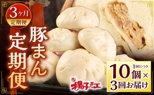 小倉老舗 揚子江 【定期便3ヵ月】 ～豚まん定期便～ 豚まん 10個×3回 中華 点心 中華まん おやつ 惣菜 ブタまん 肉まん 定期便 3回