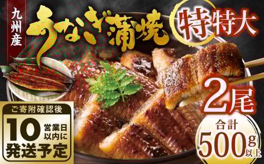 九州産 うなぎ蒲焼 特特大2尾 (1尾あたり250～266g)