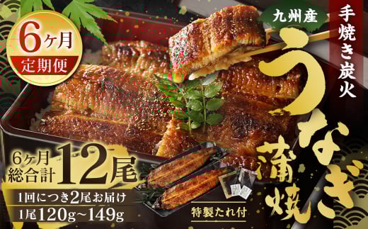 【6ヶ月定期便】九州産 手焼き炭火 うなぎ蒲焼 2尾（1尾あたり120～149g）