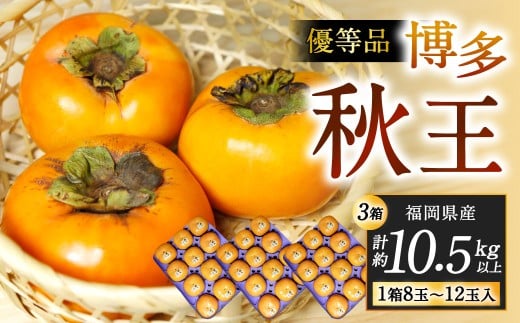 福岡県産 博多秋王【優等品】 計約10.5kg以上【約3.5kg以上（8玉～12玉入り） ×3箱】