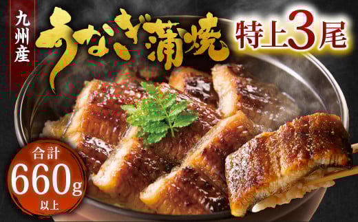 九州産 うなぎ 蒲焼 特上 3尾 計660g以上 (1尾あたり220～235g)