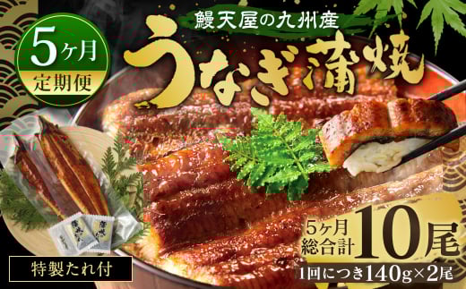 【5ヶ月定期便】鰻天屋 九州産うなぎ 蒲焼 約140g×2尾 セット