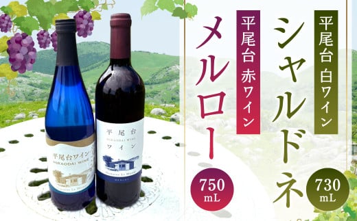 平尾台白ワイン・シャルドネ(730ml)と 平尾台赤ワイン メルロー(750ml) 2本セット ワイン 飲み比べ 赤白ワイン セット お酒