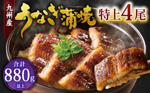 九州産 うなぎ 蒲焼 特上4尾 計880g以上 (1尾あたり220～235g)