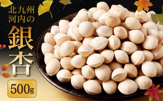 北九州河内の銀杏 500g
