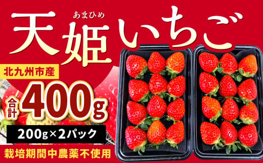 [栽培期間中農薬不使用]天姫(あまひめ)イチゴ 200g×2パック 合計400g [2025年2月上旬〜3月下旬発送予定]いちご 苺 フルーツ 果物 くだもの 福岡県 北九州市