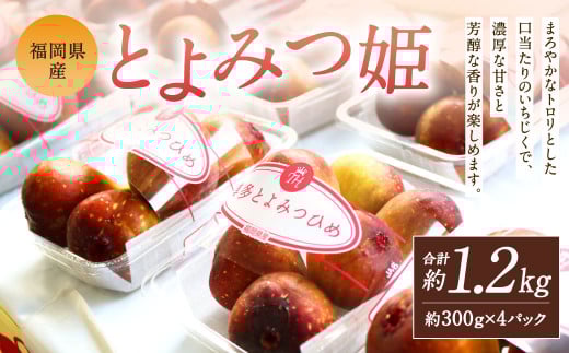 福岡県産 とよみつ姫 約1.2kg（約300g×4パック入り）