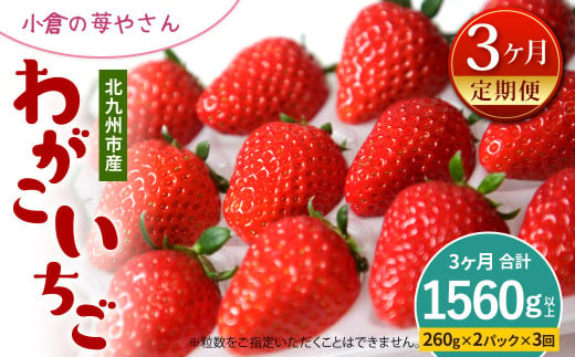 [定期便3回(2025年1・2・3月発送)]小倉の苺やさん「わがこいちご」 260g×2パック×3回 合計1560g以上 福岡県 いちご イチゴ 果物 旬 新鮮 朝摘み 完熟 フルーツ 冷蔵 国産 北九州市産