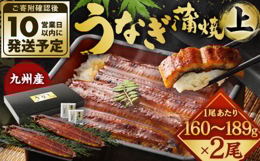 九州産 うなぎ 蒲焼 上 2尾 (1尾あたり160～189g)