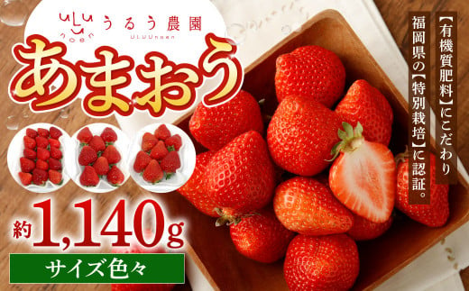 うるう農園 サイズ色々 あまおう 4パック(約1140g)[2025年1月下旬〜2025年3月下旬順次発送予定]いちご イチゴ 苺 フルーツ 果物 福岡県産