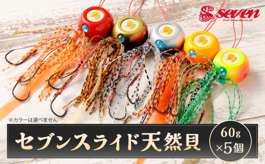 セブンスライド 天然貝 60g 計5個 セット