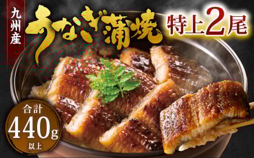 九州産 うなぎ 蒲焼 特上 2尾 計440g以上 (1尾あたり220～235g)