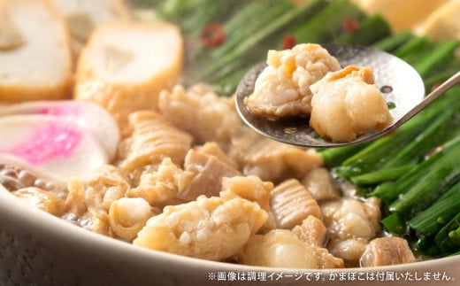 【定期便4か月】 もつ鍋 12人前×4回