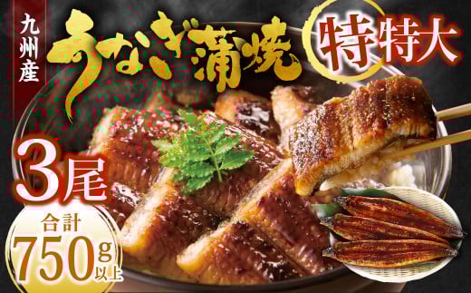 九州産 うなぎ蒲焼 特特大3尾 (1尾あたり250～266g)