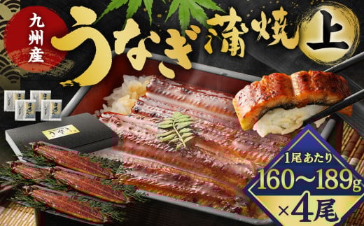 九州産 うなぎ 蒲焼 上 4尾 (1尾あたり160～189g)