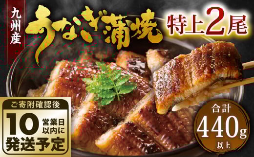 九州産 うなぎ 蒲焼 特上 2尾 計440g以上 (1尾あたり220～235g)