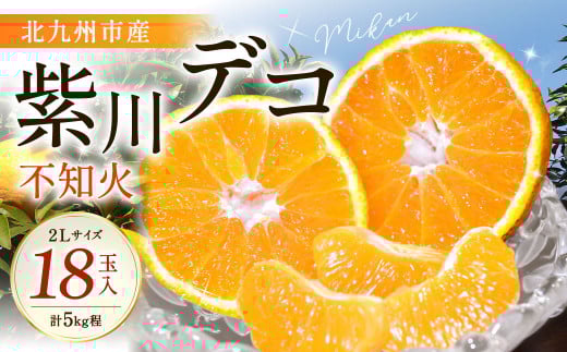紫川デコ（不知火） 2Lサイズ 18玉入 計5kg程 フルーツキャップ付き
