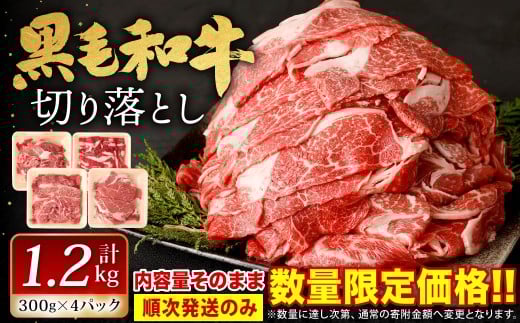 復刻！九州産 黒毛和牛 切り落とし 計1.2㎏ 300g×4パック 小分け