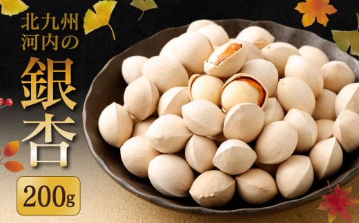 北九州河内の銀杏 200g