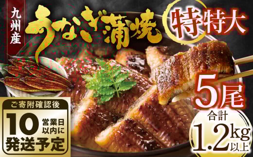 九州産 うなぎ蒲焼 特特大5尾 (1尾あたり250～266g)
